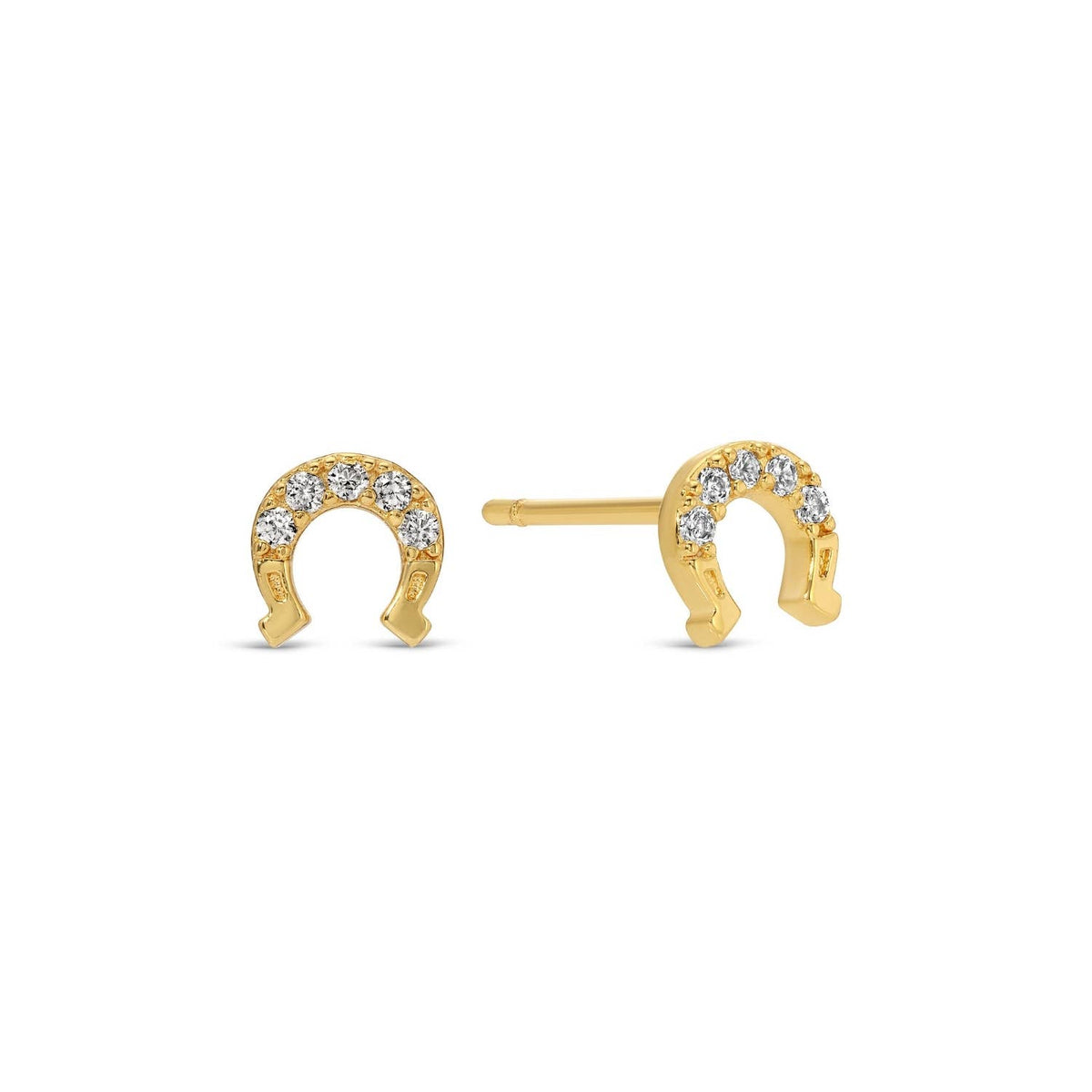 Western Earrings set